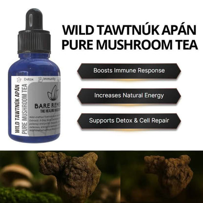 Wild Tawtnuk Apán Pure Mushroom Super Daily - BareRemedy