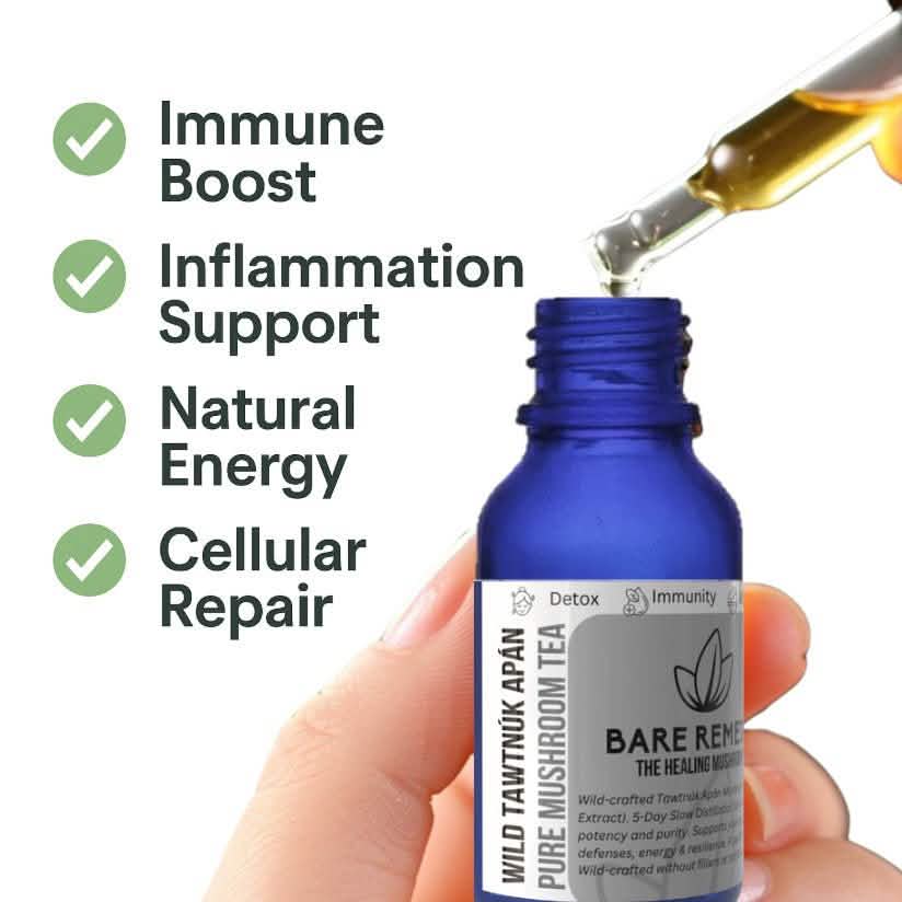Wild Tawtnuk Apán Pure Mushroom Super Daily - BareRemedy