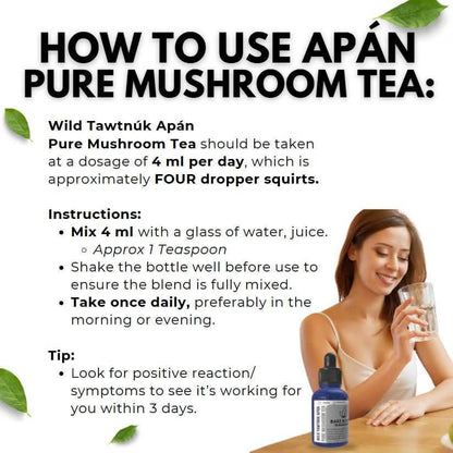Wild Tawtnuk Apán Pure Mushroom Super Daily - BareRemedy