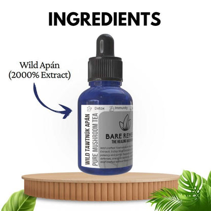 Wild Tawtnuk Apán Pure Mushroom Super Daily - BareRemedy