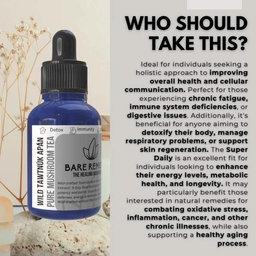 Wild Tawtnuk Apán Pure Mushroom Super Daily - BareRemedy