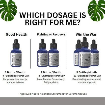 Wild Tawtnuk Apán Pure Mushroom Super Daily - BareRemedy