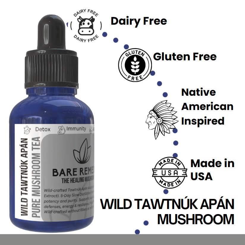 Wild Tawtnuk Apán Pure Mushroom Super Daily - BareRemedy