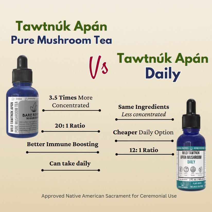 Wild Tawtnuk Apán Pure Mushroom Super Daily - BareRemedy